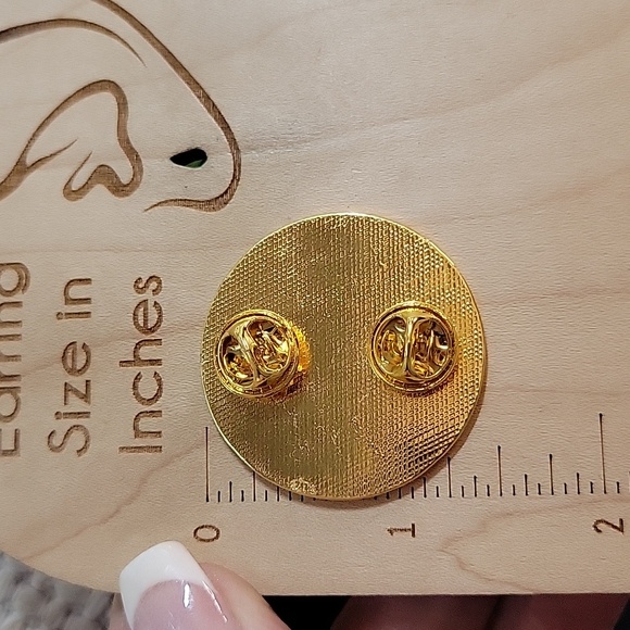 LGBTQ TRANS RIGHTS YOU ARE SAFE WITH ME RAINBOW PIN - Picture 5 of 5